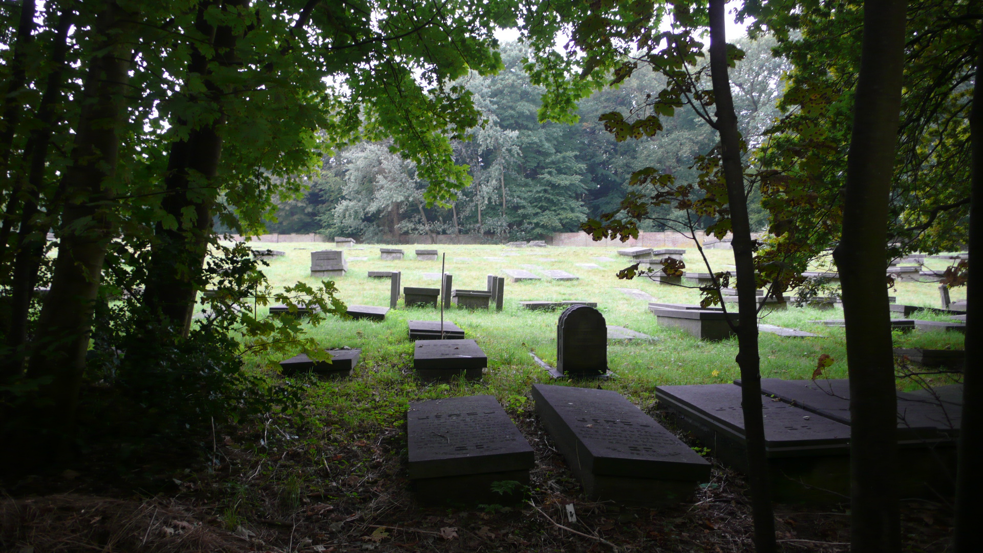 Timorlaan view